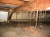 Foundation Beam Termite Damage